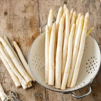🌿Four Seasons Asparagus Mary Washington Seeds