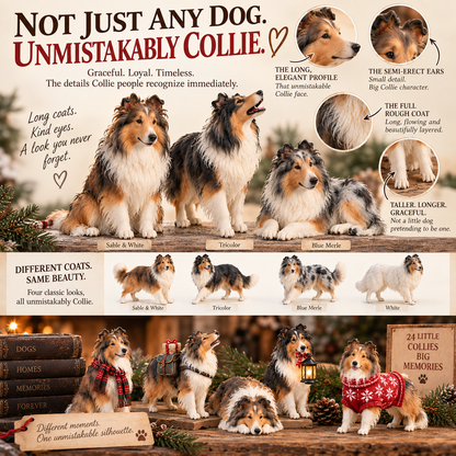 🪻🦴24 Days of Collie Memories — 24 Little Reminders of the Dog You Never Forget ❤️🐾