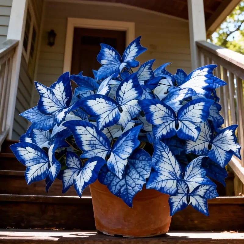 🔥Last Day: BUY 3 GET 1 FREE - 🍃🦋 Butterfly Leaf Hosta Seeds: Add a Touch of Whimsy to Your Garden!(🌿1 pack = 100 Seeds)