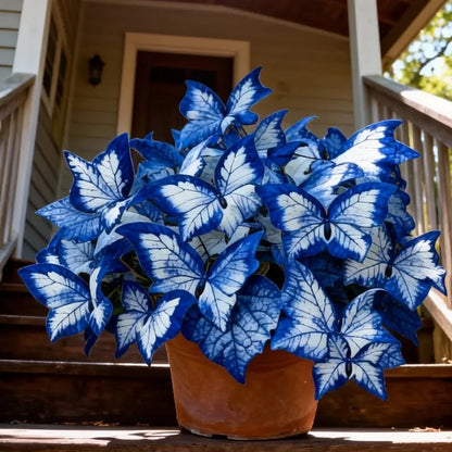 🔥Last Day: BUY 3 GET 1 FREE - 🍃🦋 Butterfly Leaf Hosta Seeds: Add a Touch of Whimsy to Your Garden!(🌿1 pack = 100 Seeds)