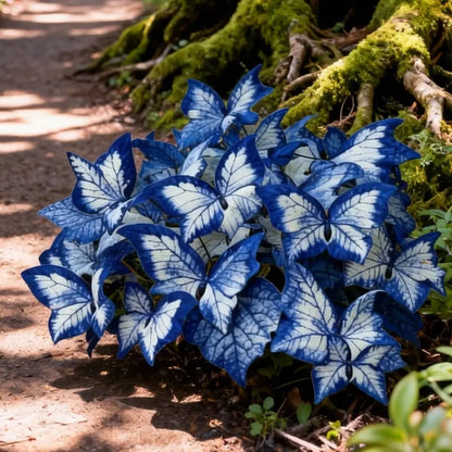 🔥Last Day: BUY 3 GET 1 FREE - 🍃🦋 Butterfly Leaf Hosta Seeds: Add a Touch of Whimsy to Your Garden!(🌿1 pack = 100 Seeds)