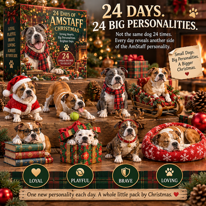 🎁24 Days of AmStaff Christmas – 24 Big Personalities, One Loyal Pack 🐾🎄