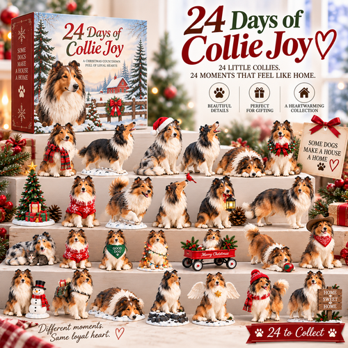 🪻🦴24 Days of Collie Memories — 24 Little Reminders of the Dog You Never Forget ❤️🐾