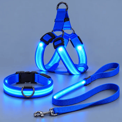 🐕✨ 3-Piece Rechargeable LED Dog Walking Set – Light-Up Harness, Collar & Leash for Safer Night Walks! 🌙🐾