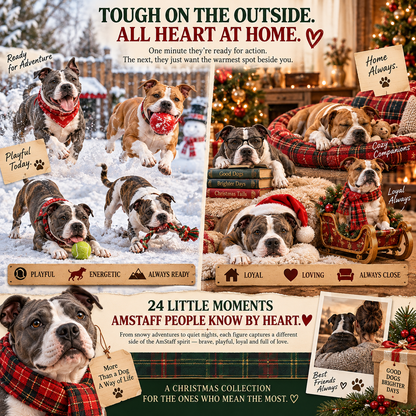 🎁24 Days of AmStaff Christmas – 24 Big Personalities, One Loyal Pack 🐾🎄