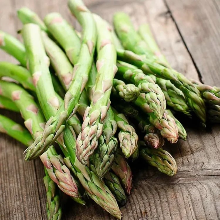 🌿Four Seasons Asparagus Mary Washington Seeds