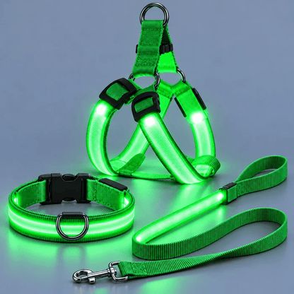 🐕✨ 3-Piece Rechargeable LED Dog Walking Set – Light-Up Harness, Collar & Leash for Safer Night Walks! 🌙🐾