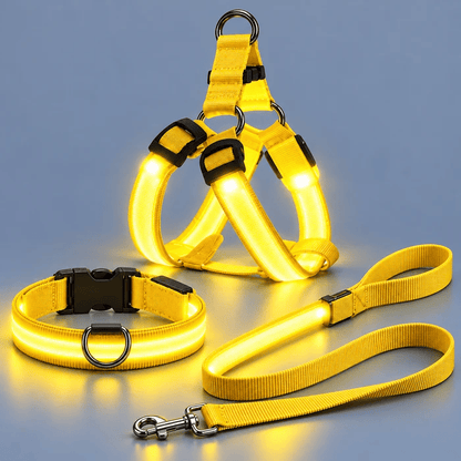 🐕✨ 3-Piece Rechargeable LED Dog Walking Set – Light-Up Harness, Collar & Leash for Safer Night Walks! 🌙🐾