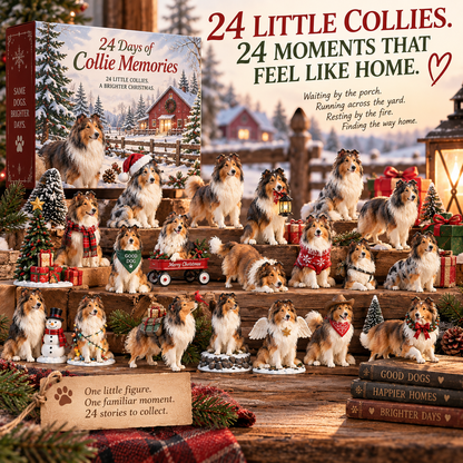 🪻🦴24 Days of Collie Memories — 24 Little Reminders of the Dog You Never Forget ❤️🐾