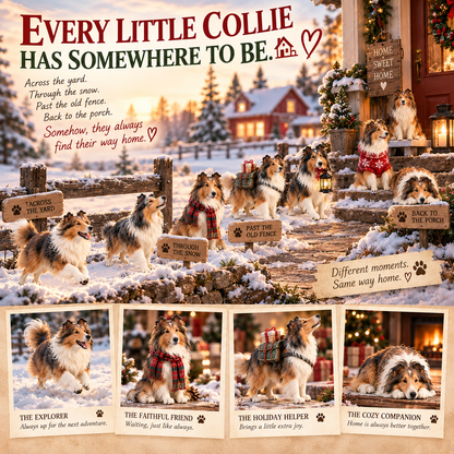 🪻🦴24 Days of Collie Memories — 24 Little Reminders of the Dog You Never Forget ❤️🐾