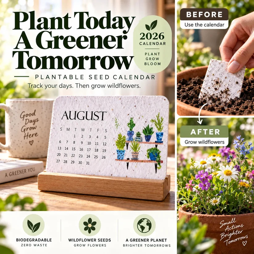 ✨early Holiday Sale 49% Off🌱eco-friendly Plantable “timeless” Seed Calendar 2027