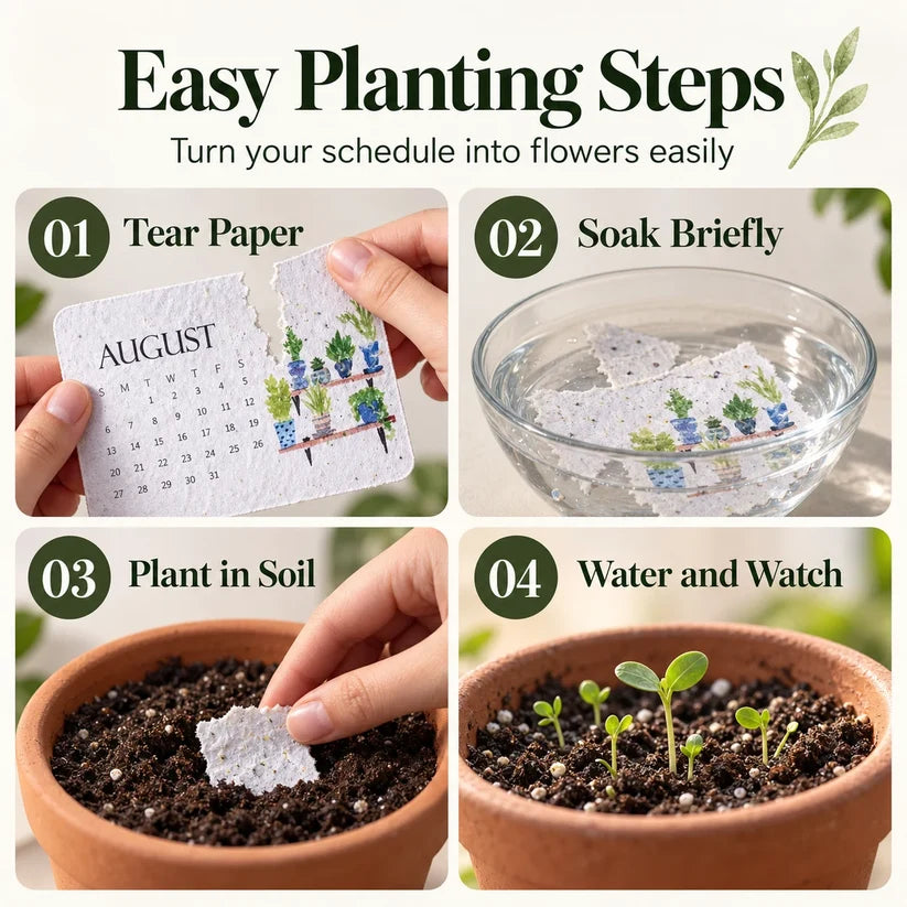 ✨early Holiday Sale 49% Off🌱eco-friendly Plantable “timeless” Seed Calendar 2027