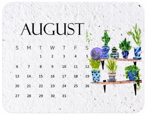 ✨early Holiday Sale 49% Off🌱eco-friendly Plantable “timeless” Seed Calendar 2027