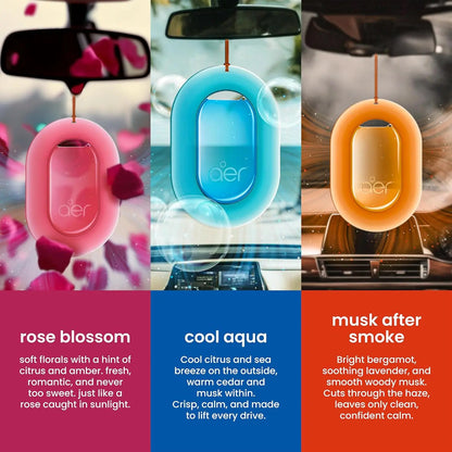 🌬️Hanging Car Freshener – Assorted Pack of 3 (Cool Aqua + Rose Blossom + Musk After Smoke)