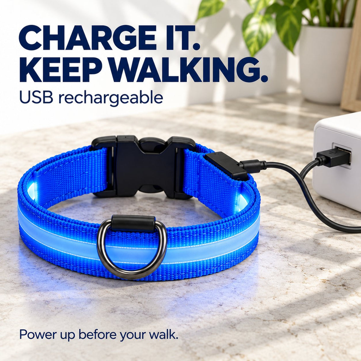 🐕✨ 3-Piece Rechargeable LED Dog Walking Set – Light-Up Harness, Collar & Leash for Safer Night Walks! 🌙🐾