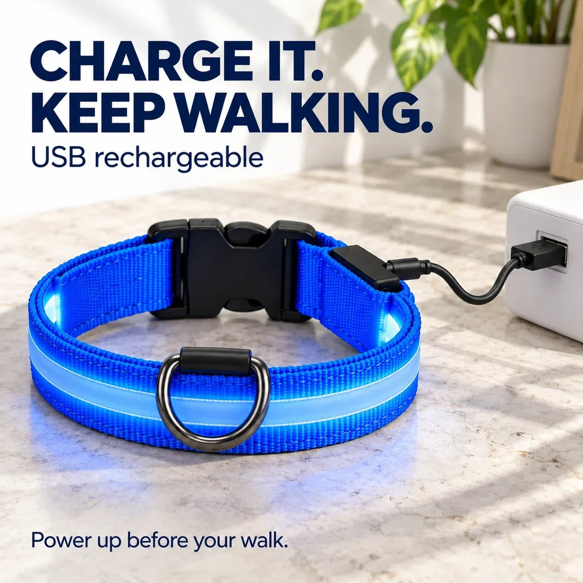 🐕 Rechargeable LED Dog Walking Kit ✨ Light-Up Harness