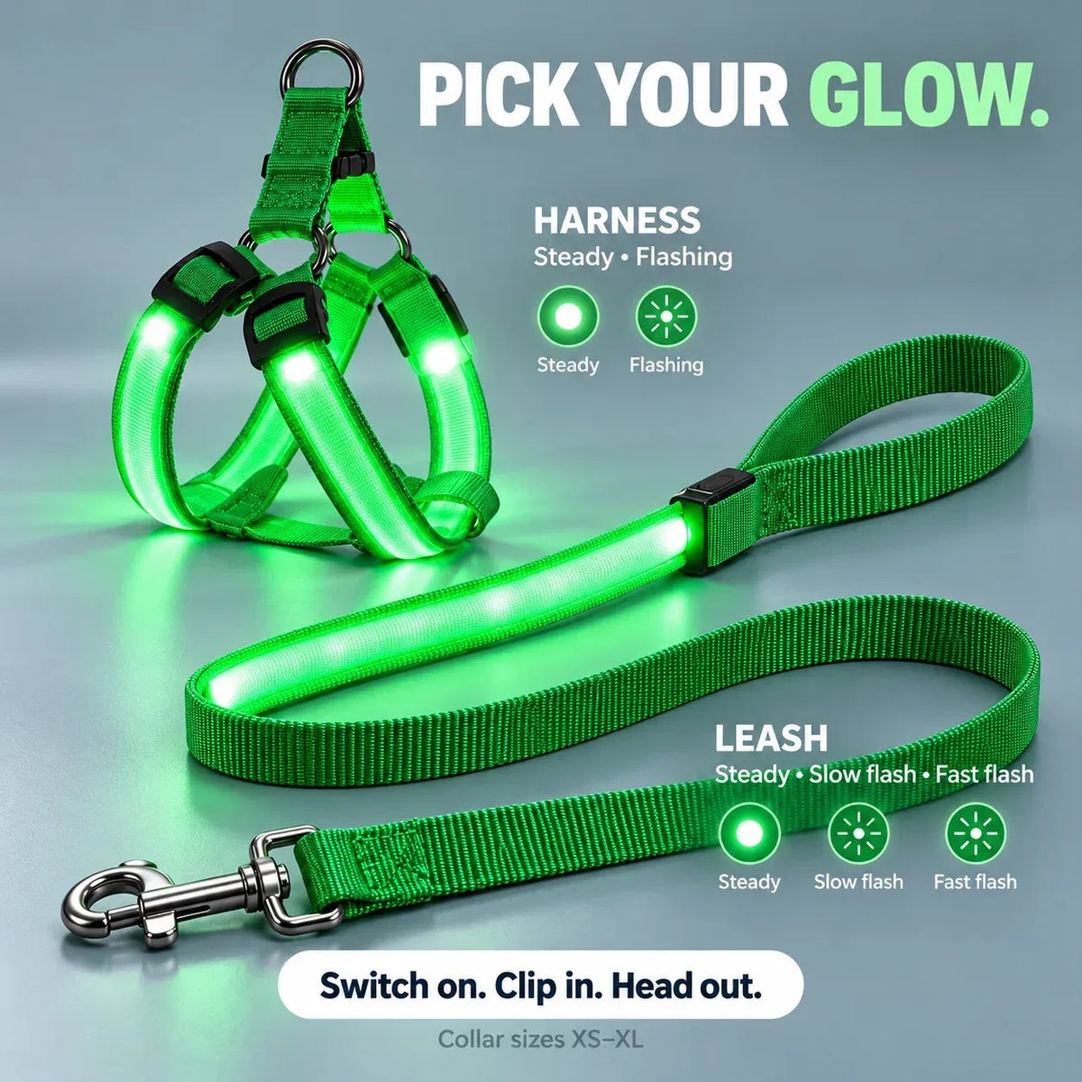 🐕 Rechargeable LED Dog Walking Kit ✨ Light-Up Harness