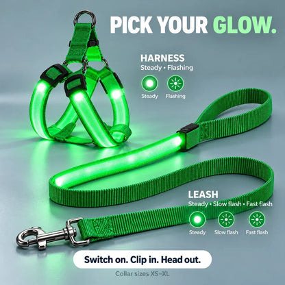 🐕 Rechargeable LED Dog Walking Kit ✨ Light-Up Harness