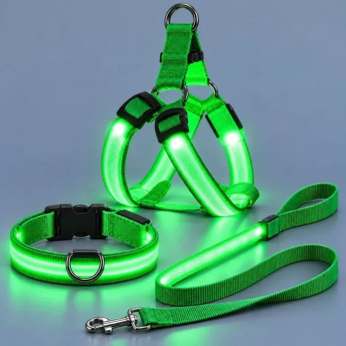 🐕 Rechargeable LED Dog Walking Kit ✨ Light-Up Harness