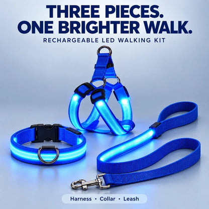 🐕 Rechargeable LED Dog Walking Kit ✨ Light-Up Harness