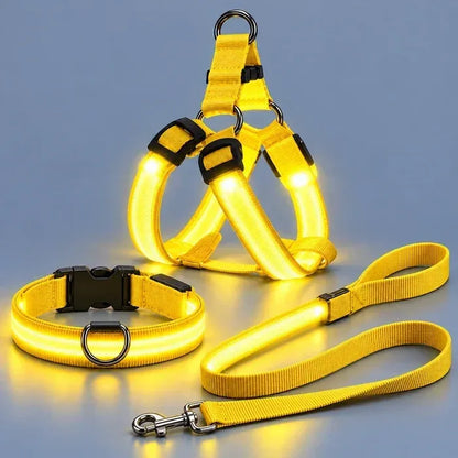 🐕 Rechargeable LED Dog Walking Kit ✨ Light-Up Harness