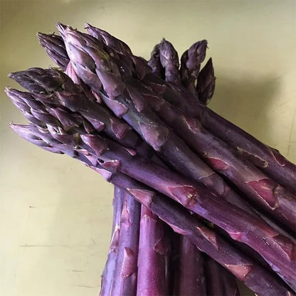 🌿Four Seasons Asparagus Mary Washington Seeds