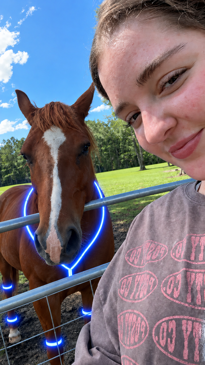 🐴 LED Horse Night Riding Lights – Full-Body Glow Kit with Enhanced Visibility & 12 Lighting Modes