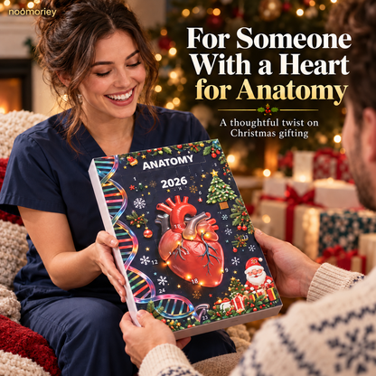 🫀Anatomy Christmas Advent Calendar – Unique Organ-Shaped Ornaments & Holiday Surprises for Nurses, Medical Students & Science Lovers