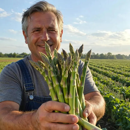 🌿Four Seasons Asparagus Mary Washington Seeds