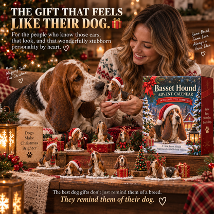 ✨24 Days of Basset Hound Joy — 24 Long-Eared Personalities to Love 🐾🎄