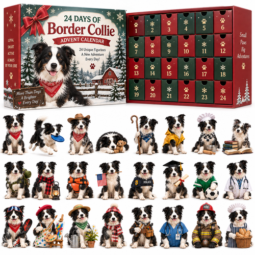 ❤️✨24 Days of Border Collie – 24 Unique Dog Figurines | Christmas Collectible Gift Set