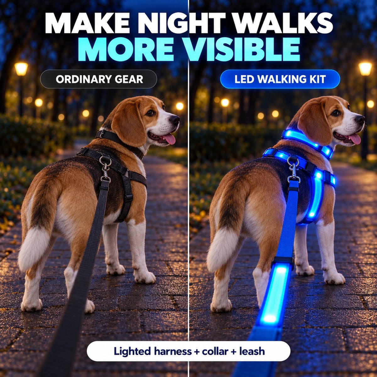 🐕✨ 3-Piece Rechargeable LED Dog Walking Set – Light-Up Harness, Collar & Leash for Safer Night Walks! 🌙🐾