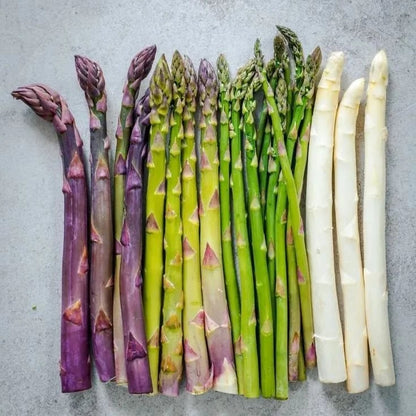 🌿Four Seasons Asparagus Mary Washington Seeds