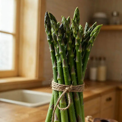 🌿Four Seasons Asparagus Mary Washington Seeds