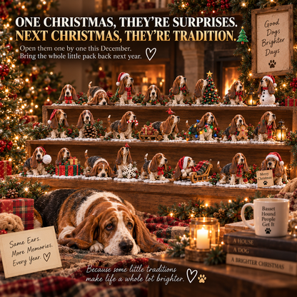 ✨24 Days of Basset Hound Joy — 24 Long-Eared Personalities to Love 🐾🎄