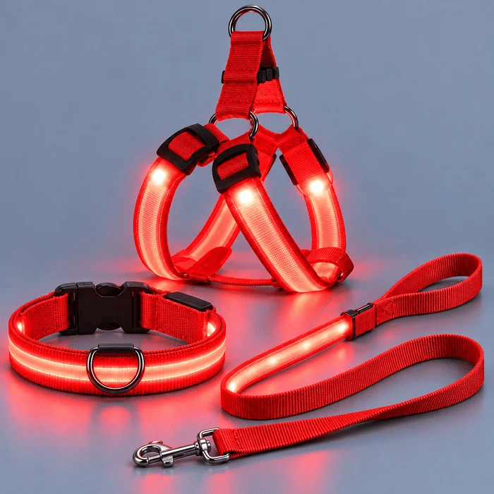 🐕✨ 3-Piece Rechargeable LED Dog Walking Set – Light-Up Harness, Collar & Leash for Safer Night Walks! 🌙🐾